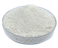 Rare earth polishing powder